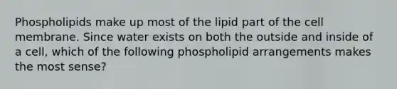 Phospholipids make up most of the lipid part of the cell membrane. Since water exists on both the outside and inside of a cell, which of the following phospholipid arrangements makes the most sense?