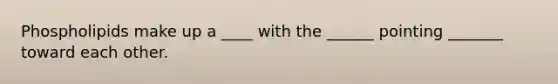 Phospholipids make up a ____ with the ______ pointing _______ toward each other.