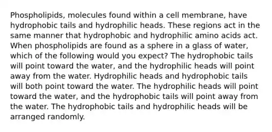 Phospholipids, molecules found within a cell membrane, have hydrophobic tails and hydrophilic heads. These regions act in the same manner that hydrophobic and hydrophilic <a href='https://www.questionai.com/knowledge/k9gb720LCl-amino-acids' class='anchor-knowledge'>amino acids</a> act. When phospholipids are found as a sphere in a glass of water, which of the following would you expect? The hydrophobic tails will point toward the water, and the hydrophilic heads will point away from the water. Hydrophilic heads and hydrophobic tails will both point toward the water. The hydrophilic heads will point toward the water, and the hydrophobic tails will point away from the water. The hydrophobic tails and hydrophilic heads will be arranged randomly.