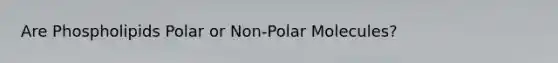 Are Phospholipids Polar or Non-Polar Molecules?