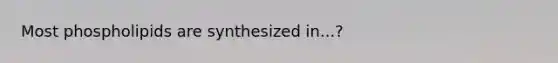 Most phospholipids are synthesized in...?