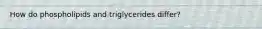 How do phospholipids and triglycerides differ?