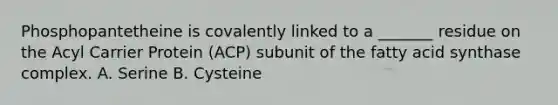 Phosphopantetheine is covalently linked to a _______ residue on the Acyl Carrier Protein (ACP) subunit of the fatty acid synthase complex. A. Serine B. Cysteine