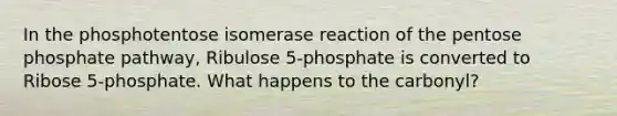 In the phosphotentose isomerase reaction of <a href='https://www.questionai.com/knowledge/kU2OmaBWIM-the-pentose-phosphate-pathway' class='anchor-knowledge'>the pentose phosphate pathway</a>, Ribulose 5-phosphate is converted to Ribose 5-phosphate. What happens to the carbonyl?