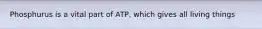 Phosphurus is a vital part of ATP, which gives all living things