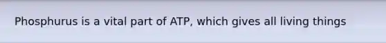 Phosphurus is a vital part of ATP, which gives all living things