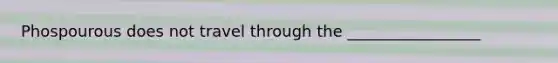 Phospourous does not travel through the _________________