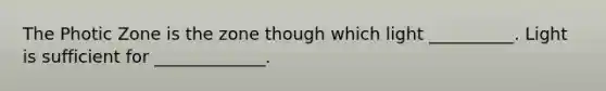 The Photic Zone is the zone though which light __________. Light is sufficient for _____________.