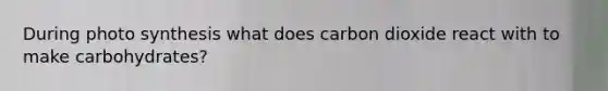 During photo synthesis what does carbon dioxide react with to make carbohydrates?