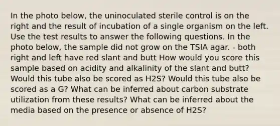 In the photo below, the uninoculated sterile control is on the right and the result of incubation of a single organism on the left. Use the test results to answer the following questions. In the photo below, the sample did not grow on the TSIA agar. - both right and left have red slant and butt How would you score this sample based on acidity and alkalinity of the slant and butt? Would this tube also be scored as H2S? Would this tube also be scored as a G? What can be inferred about carbon substrate utilization from these results? What can be inferred about the media based on the presence or absence of H2S?