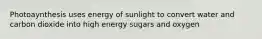 Photoaynthesis uses energy of sunlight to convert water and carbon dioxide into high energy sugars and oxygen