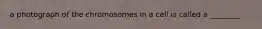 a photograph of the chromosomes in a cell is called a ________