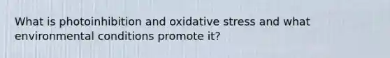 What is photoinhibition and oxidative stress and what environmental conditions promote it?