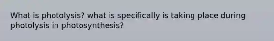 What is photolysis? what is specifically is taking place during photolysis in photosynthesis?