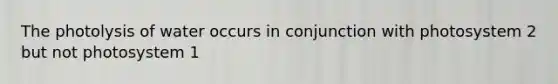 The photolysis of water occurs in conjunction with photosystem 2 but not photosystem 1