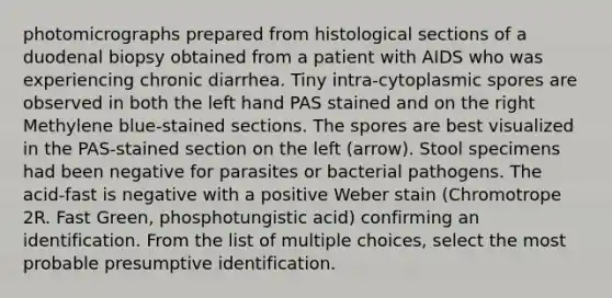 photomicrographs prepared from histological sections of a duodenal biopsy obtained from a patient with AIDS who was experiencing chronic diarrhea. Tiny intra-cytoplasmic spores are observed in both the left hand PAS stained and on the right Methylene blue-stained sections. The spores are best visualized in the PAS-stained section on the left (arrow). Stool specimens had been negative for parasites or bacterial pathogens. The acid-fast is negative with a positive Weber stain (Chromotrope 2R. Fast Green, phosphotungistic acid) confirming an identification. From the list of multiple choices, select the most probable presumptive identification.