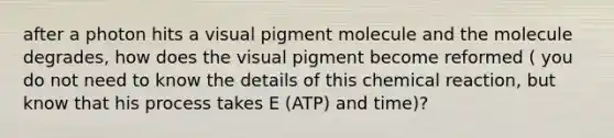 after a photon hits a visual pigment molecule and the molecule degrades, how does the visual pigment become reformed ( you do not need to know the details of this chemical reaction, but know that his process takes E (ATP) and time)?