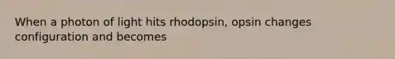 When a photon of light hits rhodopsin, opsin changes configuration and becomes