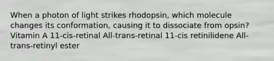 When a photon of light strikes rhodopsin, which molecule changes its conformation, causing it to dissociate from opsin? Vitamin A 11-cis-retinal All-trans-retinal 11-cis retinilidene All-trans-retinyl ester