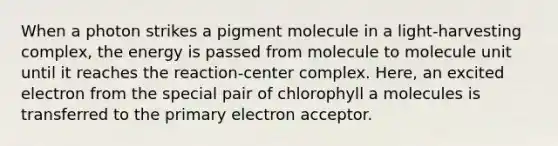 When a photon strikes a pigment molecule in a light-harvesting complex, the energy is passed from molecule to molecule unit until it reaches the reaction-center complex. Here, an excited electron from the special pair of chlorophyll a molecules is transferred to the primary electron acceptor.