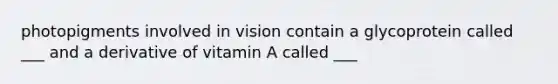 photopigments involved in vision contain a glycoprotein called ___ and a derivative of vitamin A called ___