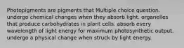 Photopigments are pigments that Multiple choice question. undergo chemical changes when they absorb light. organelles that produce carbohydrates in plant cells. absorb every wavelength of light energy for maximum photosynthetic output. undergo a physical change when struck by light energy.