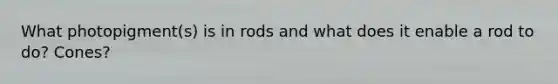 What photopigment(s) is in rods and what does it enable a rod to do? Cones?