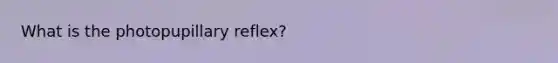 What is the photopupillary reflex?