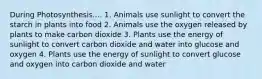 During Photosynthesis.... 1. Animals use sunlight to convert the starch in plants into food 2. Animals use the oxygen released by plants to make carbon dioxide 3. Plants use the energy of sunlight to convert carbon dioxide and water into glucose and oxygen 4. Plants use the energy of sunlight to convert glucose and oxygen into carbon dioxide and water