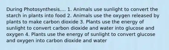 During Photosynthesis.... 1. Animals use sunlight to convert the starch in plants into food 2. Animals use the oxygen released by plants to make carbon dioxide 3. Plants use the energy of sunlight to convert carbon dioxide and water into glucose and oxygen 4. Plants use the energy of sunlight to convert glucose and oxygen into carbon dioxide and water