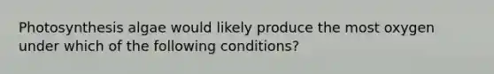 Photosynthesis algae would likely produce the most oxygen under which of the following conditions?