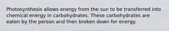 Photosynthesis allows energy from the sun to be transferred into chemical energy in carbohydrates. These carbohydrates are eaten by the person and then broken down for energy.