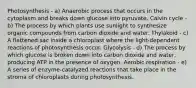 Photosynthesis - a) Anaerobic process that occurs in the cytoplasm and breaks down glucose into pyruvate. Calvin cycle - b) The process by which plants use sunlight to synthesize organic compounds from carbon dioxide and water. Thylakoid - c) A flattened sac inside a chloroplast where the light-dependent reactions of photosynthesis occur. Glycolysis - d) The process by which glucose is broken down into carbon dioxide and water, producing ATP in the presence of oxygen. Aerobic respiration - e) A series of enzyme-catalyzed reactions that take place in the stroma of chloroplasts during photosynthesis.