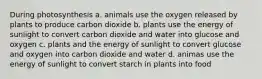 During photosynthesis a. animals use the oxygen released by plants to produce carbon dioxide b. plants use the energy of sunlight to convert carbon dioxide and water into glucose and oxygen c. plants and the energy of sunlight to convert glucose and oxygen into carbon dioxide and water d. animas use the energy of sunlight to convert starch in plants into food