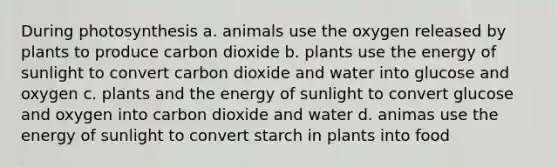 During photosynthesis a. animals use the oxygen released by plants to produce carbon dioxide b. plants use the energy of sunlight to convert carbon dioxide and water into glucose and oxygen c. plants and the energy of sunlight to convert glucose and oxygen into carbon dioxide and water d. animas use the energy of sunlight to convert starch in plants into food