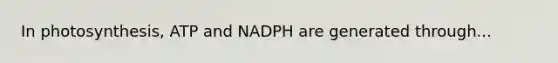 In photosynthesis, ATP and NADPH are generated through...