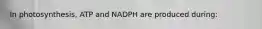 In photosynthesis, ATP and NADPH are produced during: