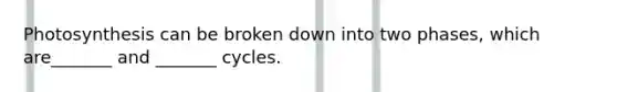 Photosynthesis can be broken down into two phases, which are_______ and _______ cycles.