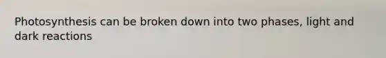 Photosynthesis can be broken down into two phases, light and dark reactions