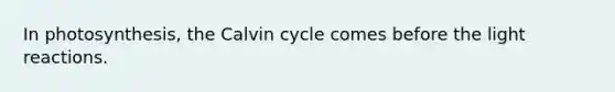 In photosynthesis, the Calvin cycle comes before the light reactions.