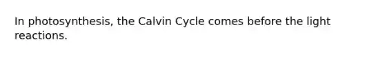 In photosynthesis, the Calvin Cycle comes before the <a href='https://www.questionai.com/knowledge/kSUoWrrvoC-light-reactions' class='anchor-knowledge'>light reactions</a>.