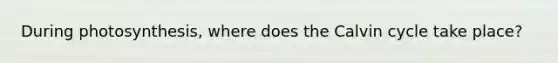 During photosynthesis, where does the Calvin cycle take place?