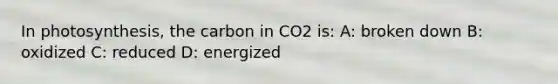 In photosynthesis, the carbon in CO2 is: A: broken down B: oxidized C: reduced D: energized