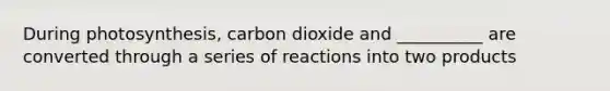 During photosynthesis, carbon dioxide and __________ are converted through a series of reactions into two products