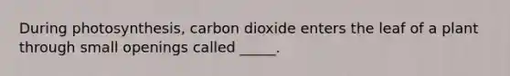 During photosynthesis, carbon dioxide enters the leaf of a plant through small openings called _____.