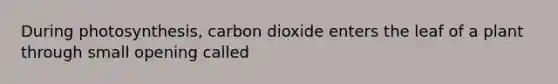 During photosynthesis, carbon dioxide enters the leaf of a plant through small opening called