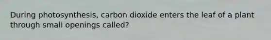 During photosynthesis, carbon dioxide enters the leaf of a plant through small openings called?