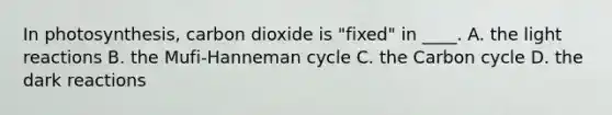 In photosynthesis, carbon dioxide is "fixed" in ____. A. the light reactions B. the Mufi-Hanneman cycle C. the Carbon cycle D. the dark reactions