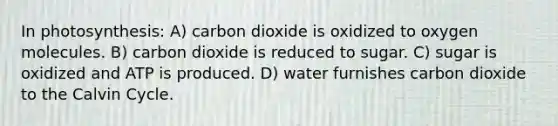 In photosynthesis: A) carbon dioxide is oxidized to oxygen molecules. B) carbon dioxide is reduced to sugar. C) sugar is oxidized and ATP is produced. D) water furnishes carbon dioxide to the Calvin Cycle.