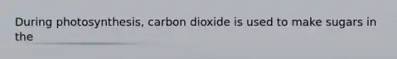 During photosynthesis, carbon dioxide is used to make sugars in the